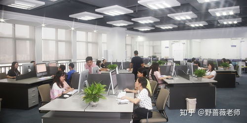 東莞東城電商淘寶運營與美工培訓 賦能企業，開啟數字商業新篇章